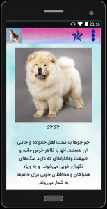 اسکرین شات برنامه آشنایی با نژاد سگ ها 5