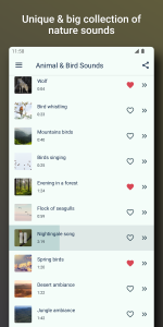 اسکرین شات 2 برنامه Bird and Animal sounds