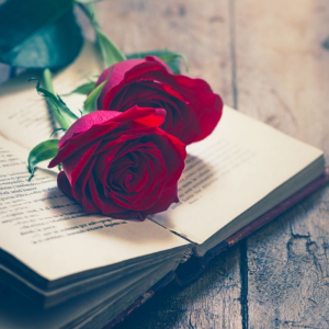 اسکرین شات 1 برنامه Beautiful Flowers & Roses Pics