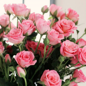 اسکرین شات 6 برنامه Beautiful Flowers & Roses Pics