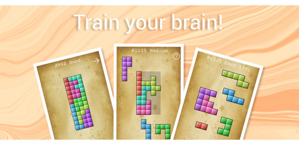 اسکرین شات بازی Block Puzzle & Conquer 5