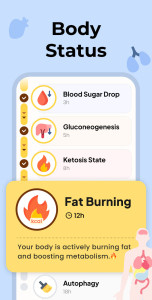 اسکرین شات 3 برنامه Fasting - Intermittent Fasting