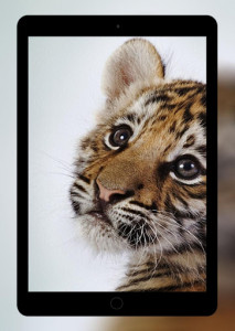اسکرین شات برنامه Tiger Wallpaper HD 8