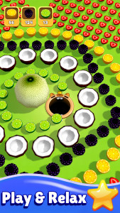 اسکرین شات 6 بازی Capybara Mania: Puzzle Game