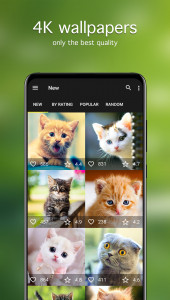اسکرین شات 2 برنامه Cat Wallpapers & Cute Kittens
