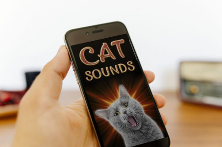 اسکرین شات برنامه Cat Sounds 1