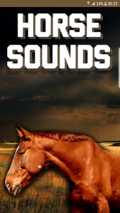اسکرین شات برنامه Horse Sounds 6