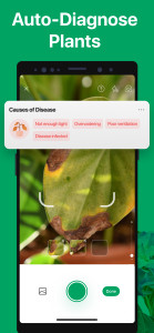 اسکرین شات 4 برنامه PictureThis - Plant Identifier