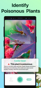 اسکرین شات برنامه PictureThis - Plant Identifier 6