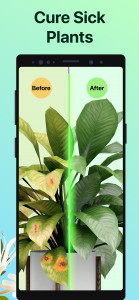 اسکرین شات برنامه PictureThis - Plant Identifier 7