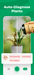 اسکرین شات 3 برنامه PictureThis - Plant Identifier