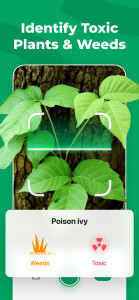 اسکرین شات 5 برنامه PictureThis - Plant Identifier