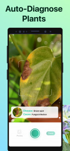 اسکرین شات برنامه PictureThis - Plant Identifier 4