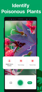 اسکرین شات 6 برنامه PictureThis - Plant Identifier