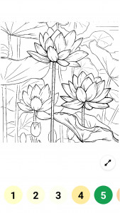اسکرین شات 5 بازی Coloring Book-lake colouring