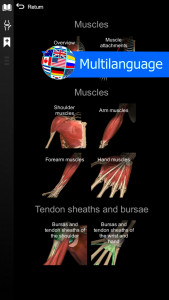 اسکرین شات برنامه Anatomy Learning - 3D Anatomy 6