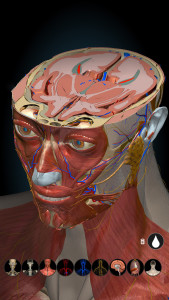 اسکرین شات برنامه Anatomy Learning - 3D Anatomy 8