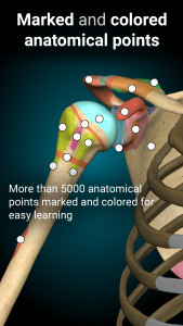اسکرین شات 3 برنامه Anatomy Learning - 3D Anatomy