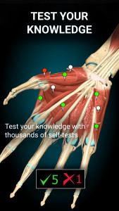 اسکرین شات برنامه Anatomy Learning - 3D Anatomy 5