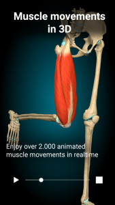 اسکرین شات 2 برنامه Anatomy Learning - 3D Anatomy
