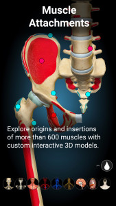 اسکرین شات 4 برنامه Anatomy Learning - 3D Anatomy