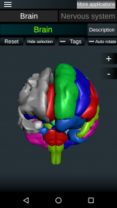 اسکرین شات برنامه Brain and Nervous System 3D 3