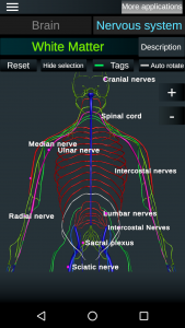 اسکرین شات برنامه Brain and Nervous System 3D 2