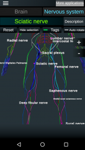 اسکرین شات برنامه Brain and Nervous System 3D 4