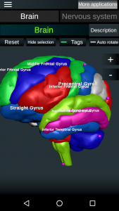 اسکرین شات برنامه Brain and Nervous System 3D 1