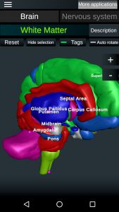 اسکرین شات برنامه Brain and Nervous System 3D 5