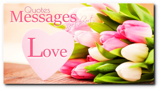 اسکرین شات برنامه Love and Romance Quotes & Wishes Messages 6