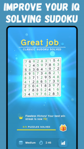 اسکرین شات بازی Sudoku Online Puzzle Game 6