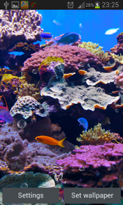 اسکرین شات برنامه Aquarium Live Wallpaper 4