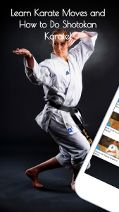 اسکرین شات برنامه Karate Training Guide 1