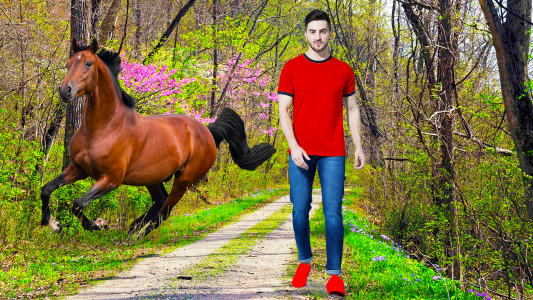 اسکرین شات برنامه Horse Pic Editor Lyrical Maker 5