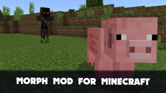 اسکرین شات برنامه Morph Mod for Minecraft PE 3