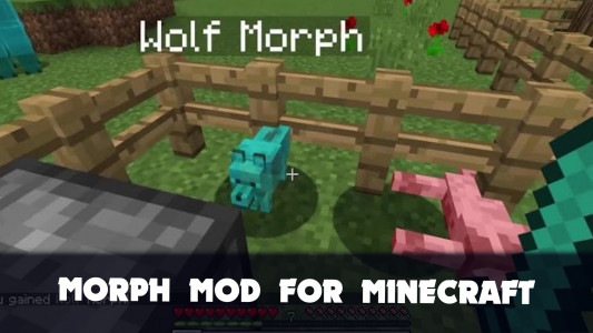 اسکرین شات برنامه Morph Mod for Minecraft PE 2