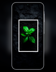 اسکرین شات 3 برنامه Galaxy A16 5G Wallpaper