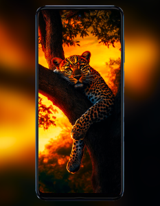 اسکرین شات 5 برنامه Motorola G Stylus 5G Wallpaper