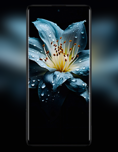 اسکرین شات 6 برنامه Redmi Note 12 Pro 5G Wallpaper