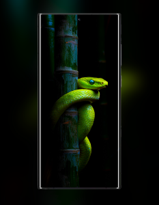 اسکرین شات 6 برنامه Galaxy S23 Ultra Wallpaper