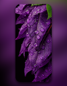 اسکرین شات 5 برنامه Apex Wallpaper 4K