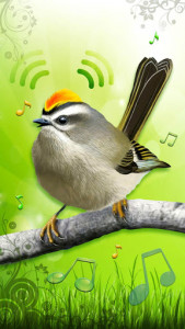 اسکرین شات برنامه Birds Sounds 🐦 Ringtone and Notification App 4