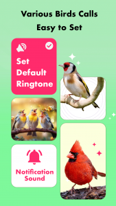 اسکرین شات برنامه Bird Sounds, Calls & Ringtones 2
