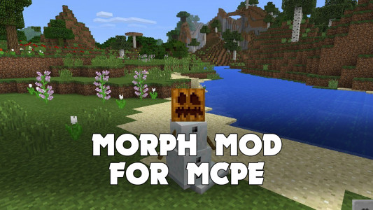 اسکرین شات برنامه Morph Mod for Minecraft PE 4