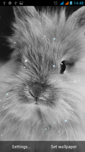 اسکرین شات برنامه Bunny Live Wallpaper 5