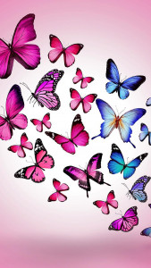 اسکرین شات برنامه Butterfly Live Wallpaper 3