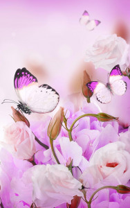 اسکرین شات برنامه Butterfly Live Wallpaper 2