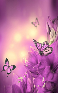 اسکرین شات برنامه Butterfly Live Wallpaper 4