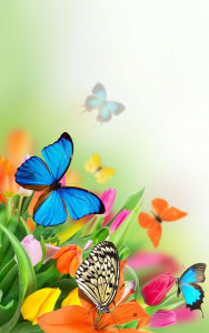 اسکرین شات برنامه Butterfly Live Wallpaper 3